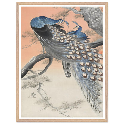 263014aa-d141-408a-a37a-a3093f122725