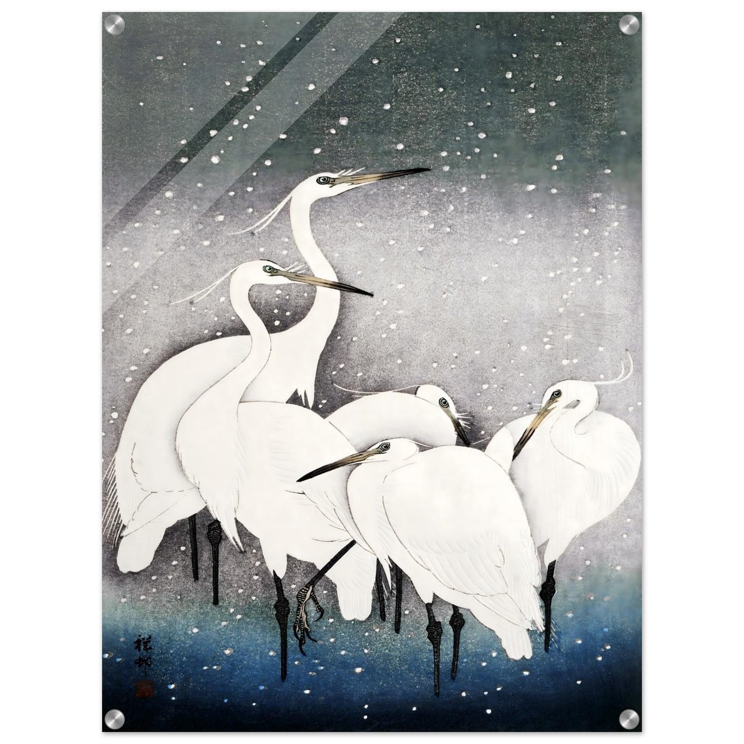 3e173093-ad3b-4db4-a53e-dda539f385b3