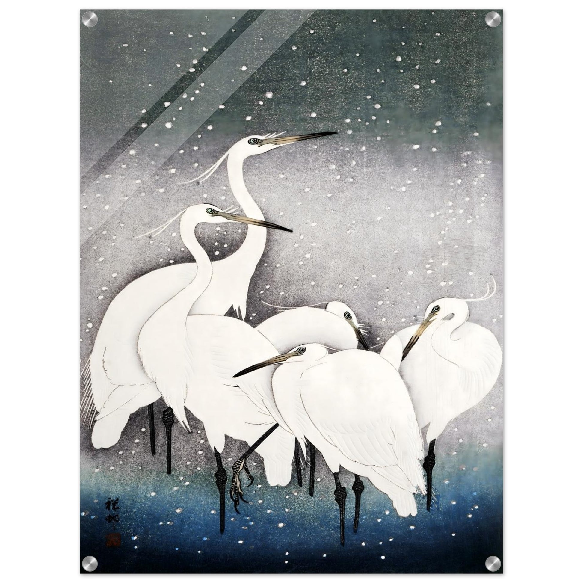 3e173093-ad3b-4db4-a53e-dda539f385b3