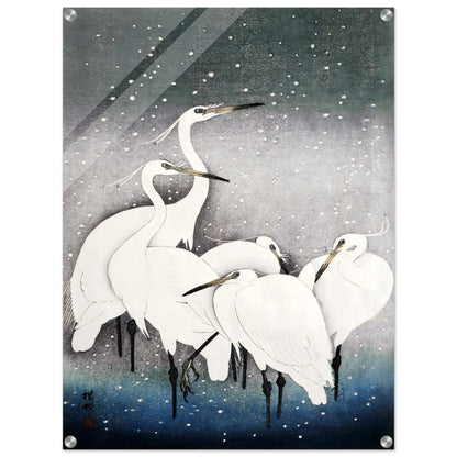 3e173093-ad3b-4db4-a53e-dda539f385b3