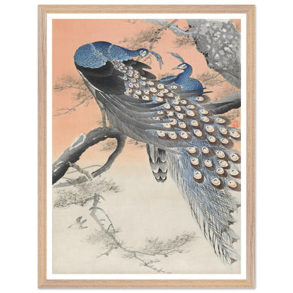 4009762d-10cc-4533-801b-862de3846d17