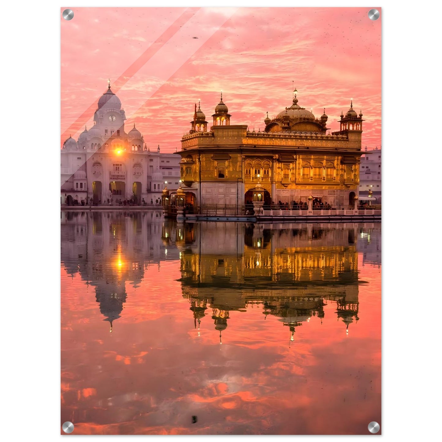 50cc4ec5-f786-4d2f-b496-dcad213d2655