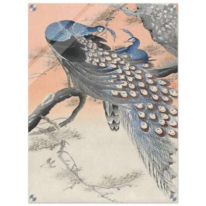 64cdeba5-8606-4bce-a995-a927c498ebf2