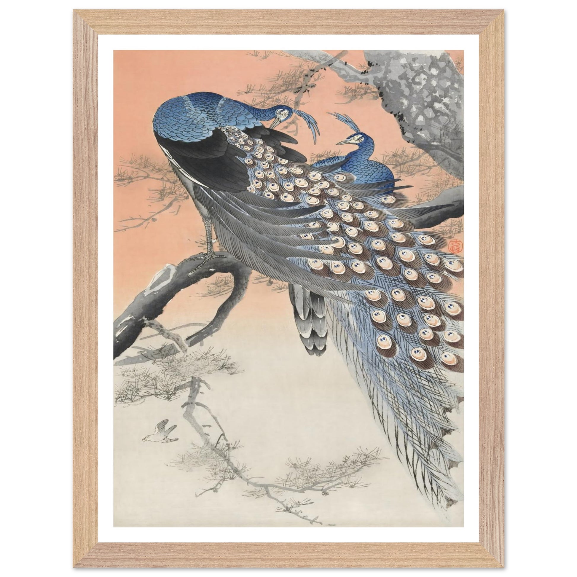 66cca428-14e7-42a5-b4b4-1d1ee7b6f525