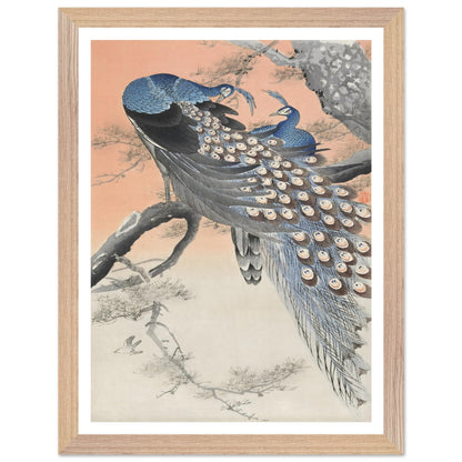 66cca428-14e7-42a5-b4b4-1d1ee7b6f525