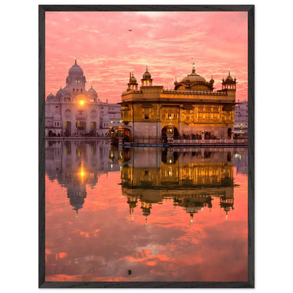 8ae8f76c-cb78-4fb5-8f11-7941839df499