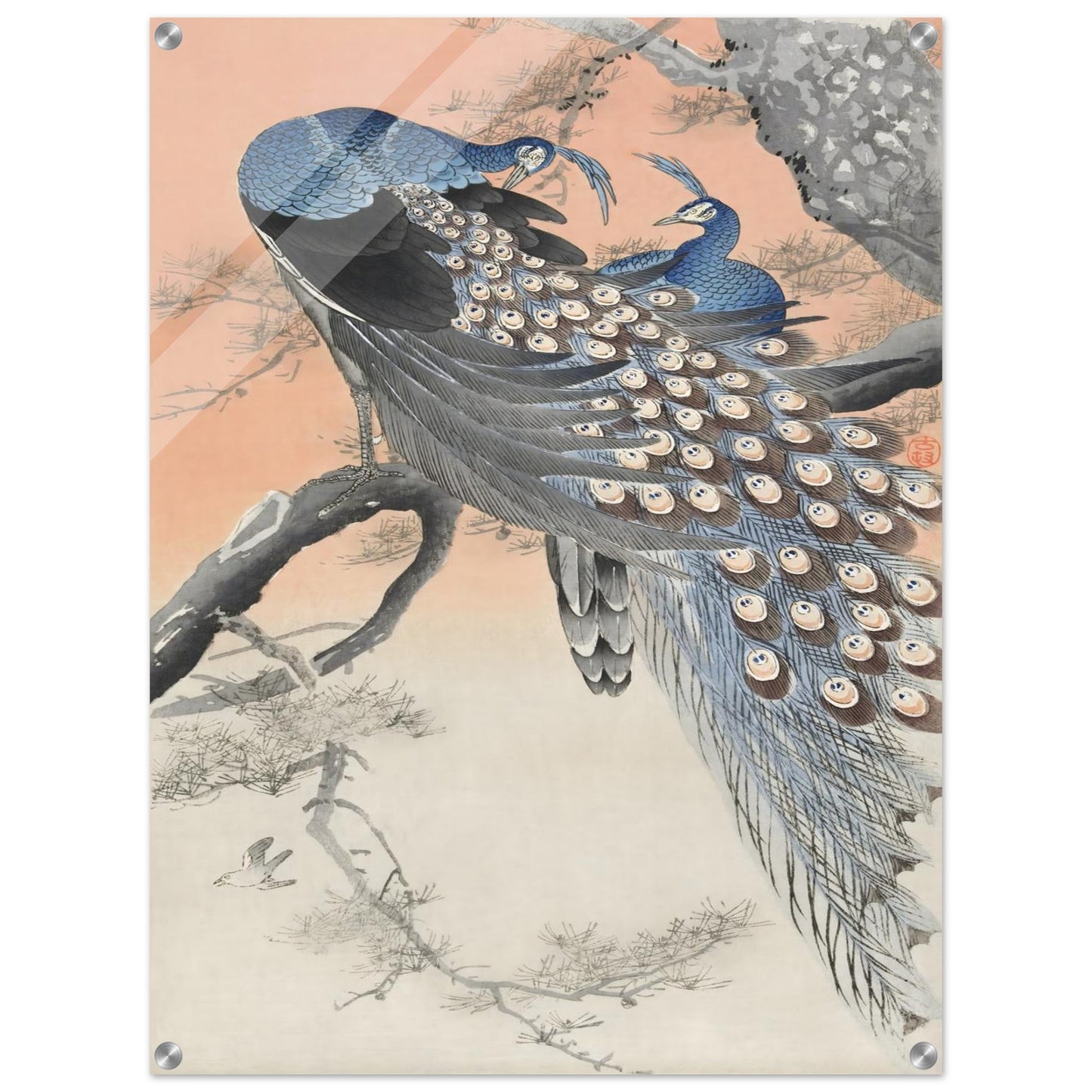 8b6acf0d-5be8-4b5f-bde0-5319b542e41b