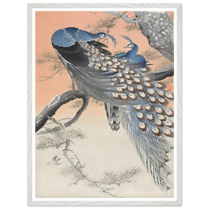 9294da43-6186-4675-afef-54a581c1d634