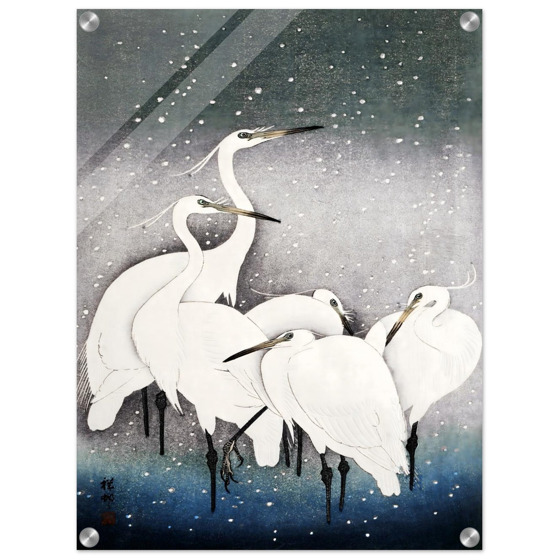 f229dd0b-c8fd-4732-956b-e8ec2bfc6dac