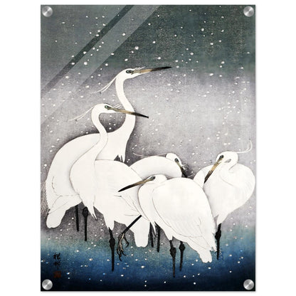 f229dd0b-c8fd-4732-956b-e8ec2bfc6dac